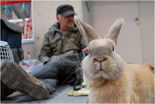Bettler mit Kaninchen | a beggar with a rabbit